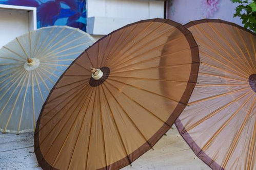 数字化升级，共创美好未来——纸世界网的纸制品销售新篇章